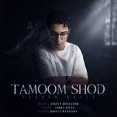 دانلود آهنگ پرهام آوش تموم شد